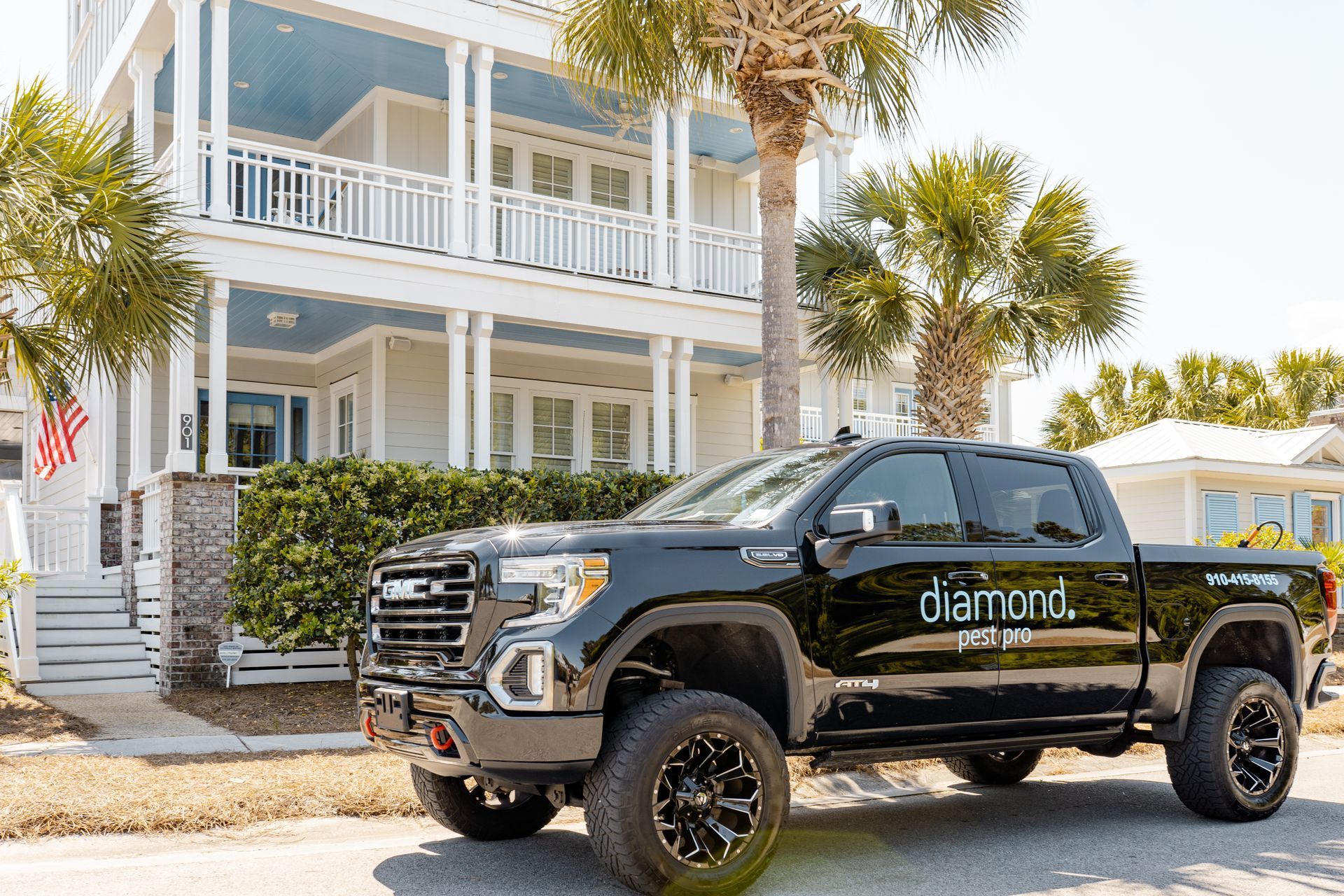 Diamond Pest Pro ant control treatment