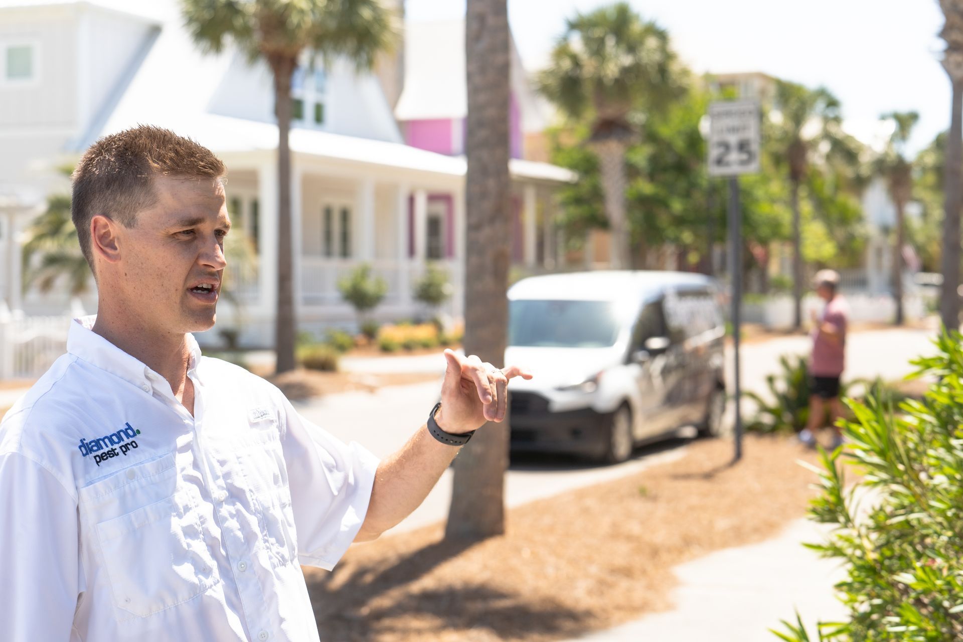 Diamond Pest Pro spider control service