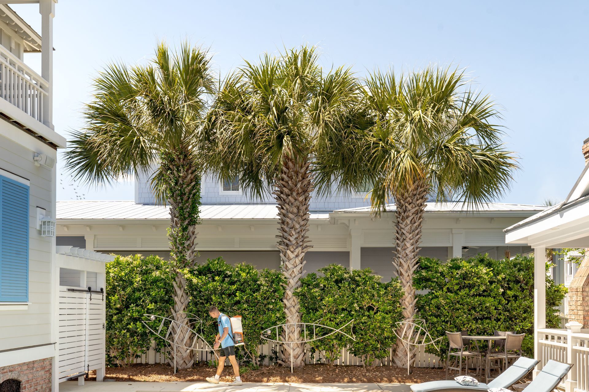 Diamond Pest Pro cockroach and palmetto bug treatment